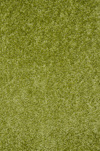 Moketa 'Flamingo' se Diastaseis 200X290cm Green C23 AFL20029023