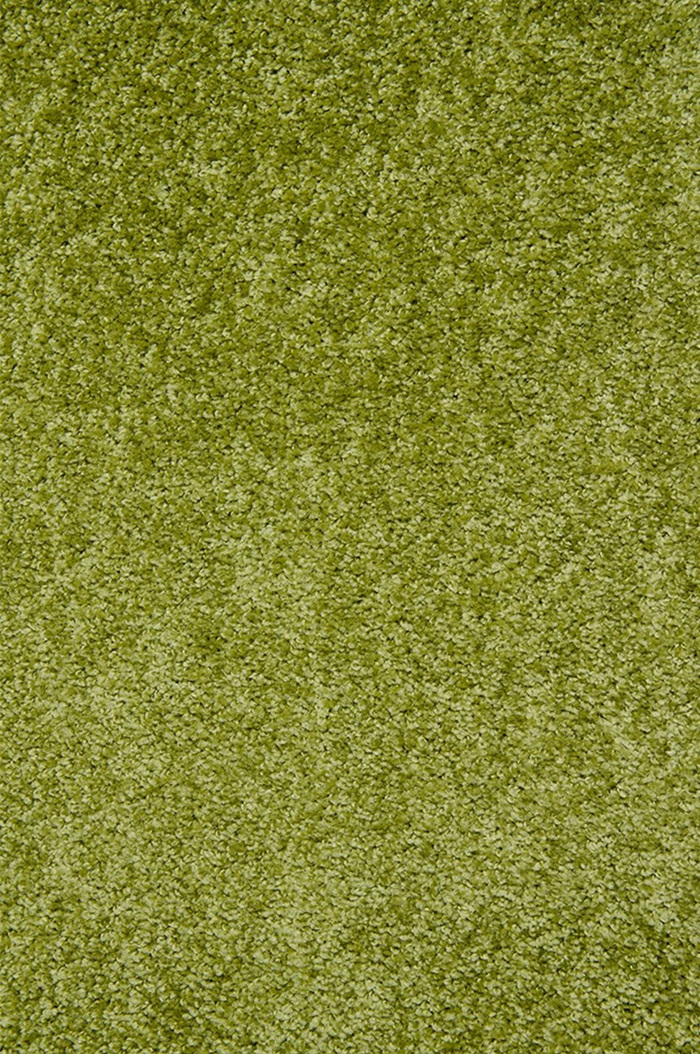 Moketa 'Flamingo' se Diastaseis 200X290cm Green C23 AFL20029023
