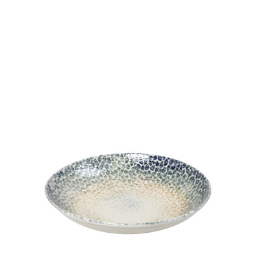 Πιάτο Βαθύ 'LIZARD' Πορσελάνης Πολύχρωμο Φ23x4cm KNB120K6 Espiel