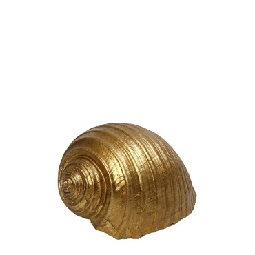 Διακοσμητικό Κοχύλι Resin Χρυσό 11.5x9x6.5cm MT2731K4 Espiel