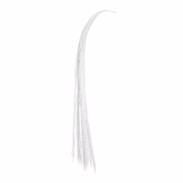 Iliadis Σετ των 10 Λευκό Κρεμαστό Κλαδί Pampas 115cm 84704