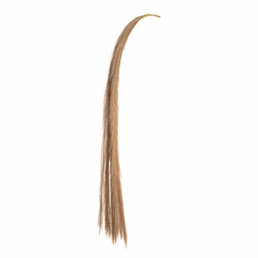 Iliadis Σετ των 10 Καφέ Κλαδί Pampas 115cm 84705
