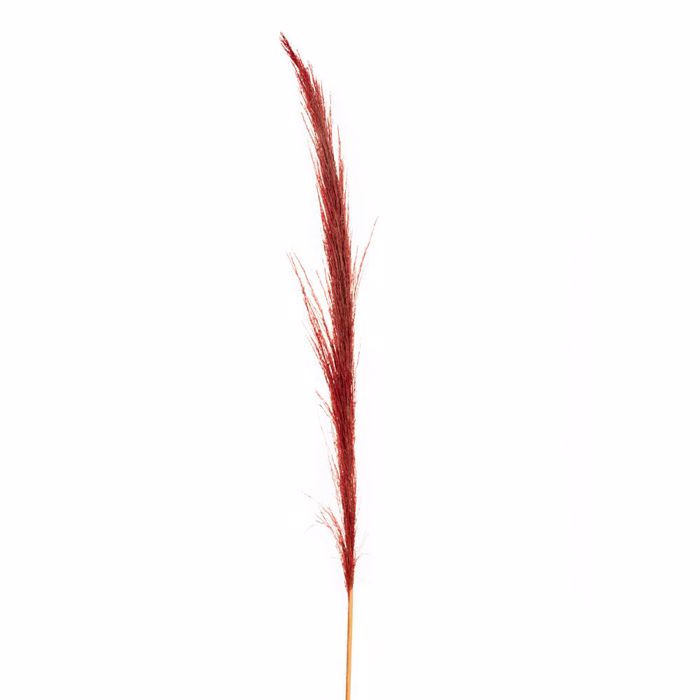 Iliadis Kokkino Kladi Pampas 150cm 84707