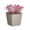 Click Futo se Gastraki Diafora Xromata Pl. 6-85-033-0003