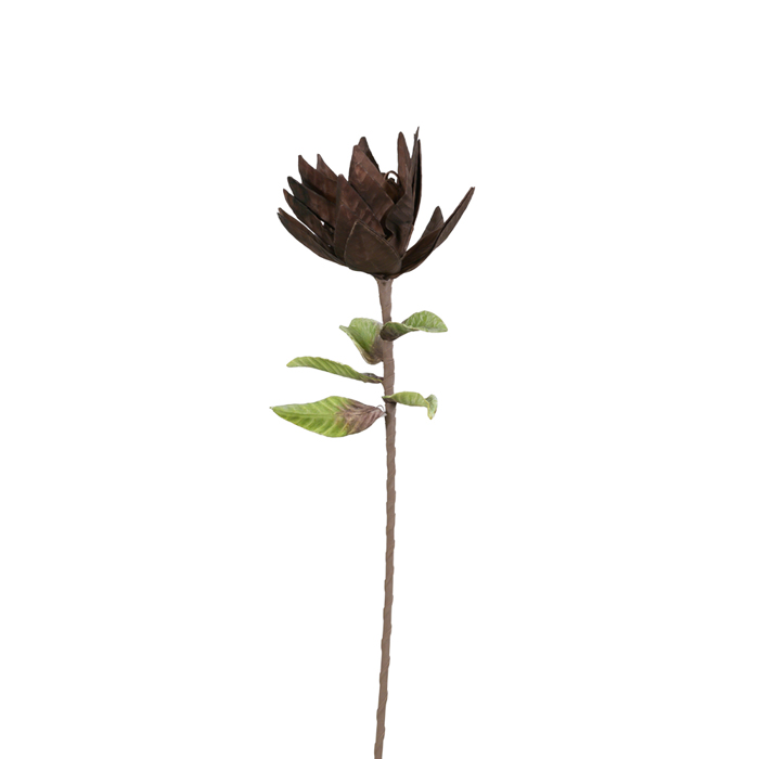 Liberta - Maison BROWN 2 Texnito Louloudi EVA FOAM Kafe 76cm 017275