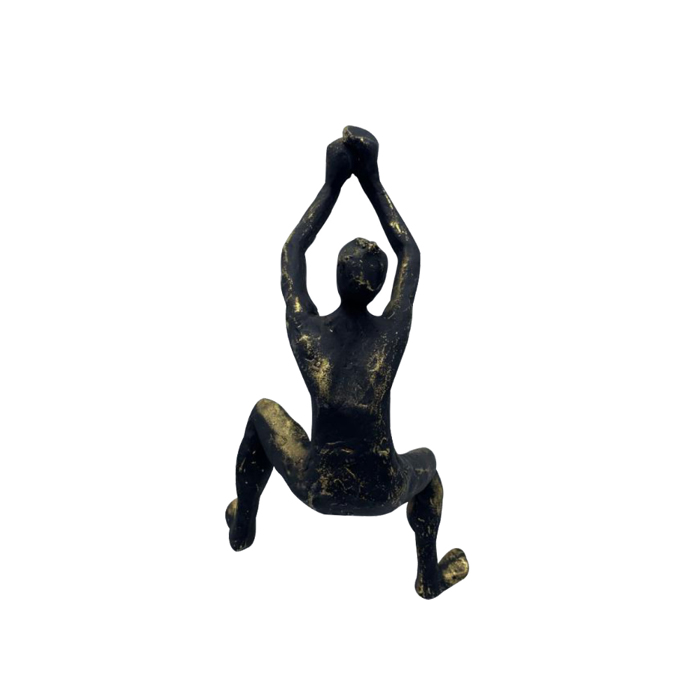 Liberta - Maison CLIMBER DECO Diakosmitiko Toixou Resin Mavro me Xruses Pinelies 13x9x23cm 021829