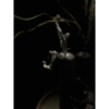 Liberta - Maison CLIMBER DECO Diakosmitiko Toixou Resin Mavro me Xruses Pinelies 13x9x23cm 021829