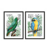 Liberta - Maison OMU 2 Set ton 2 Pinakas apo Xarti kai MDF Poluxromo me Mavri Korniza 42x56x2cm 022051