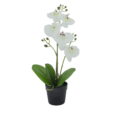 Liberta - Maison ORCHID 3 Τεχνητό Φυτό PE/PP PEVA Λευκό/Πράσινο 35cm 022417