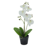 Liberta - Maison ORCHID 3 Texnito Futo PE/PP PEVA Lefko/Prasino 35cm 022417