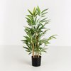 Liberta-Maison Bamboo Futo Texnito Se Gastra 70cm Polyester Prasino PVC 030727