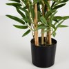 Liberta-Maison Bamboo Futo Texnito Se Gastra 70cm Polyester Prasino PVC 030727