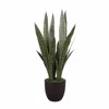 Liberta-Maison Tiger Pilan Futo Texnito se Gastra 76cm PVC Prasino Mavro Tsimento 030823