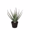 Liberta-Maison Aloe Futo Texnito se Gastra 52cm PVC Prasino Mavro Tsimento 030830