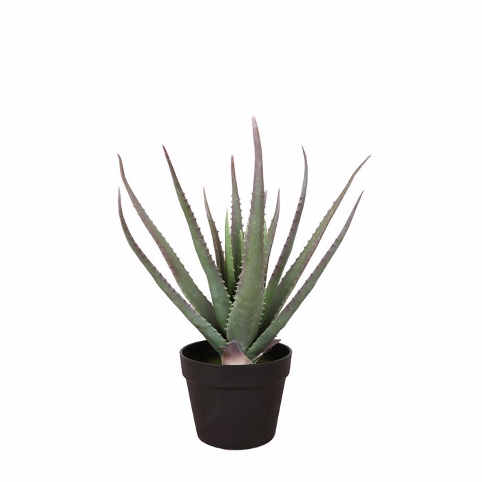 Liberta-Maison Aloe Futo Texnito se Gastra 52cm PVC Prasino Mavro Tsimento 030830