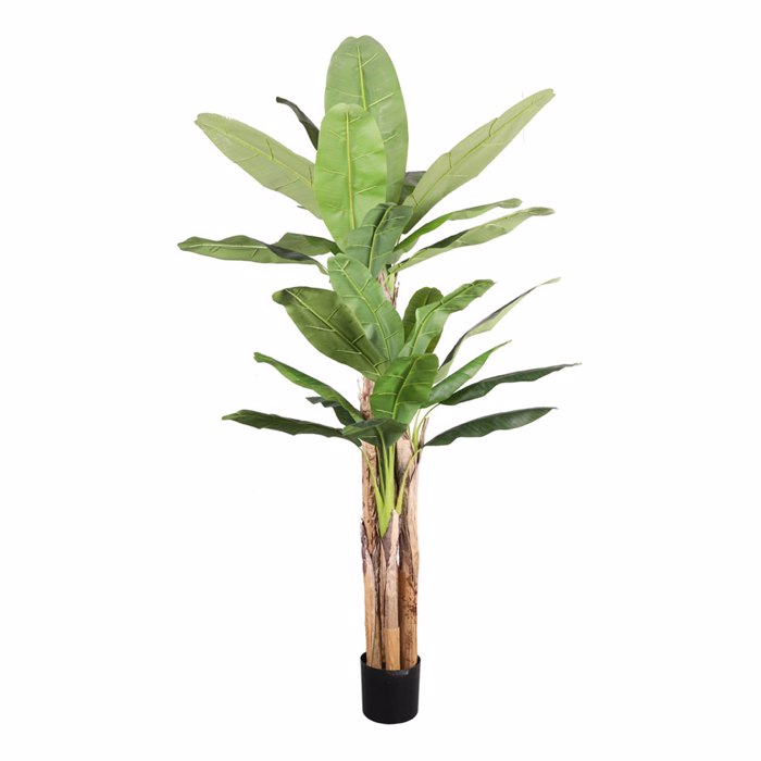 Liberta-Maison Banana Dentro Texnito se Gastra 240cm PVC Prasino Mavro Tsimento 030832
