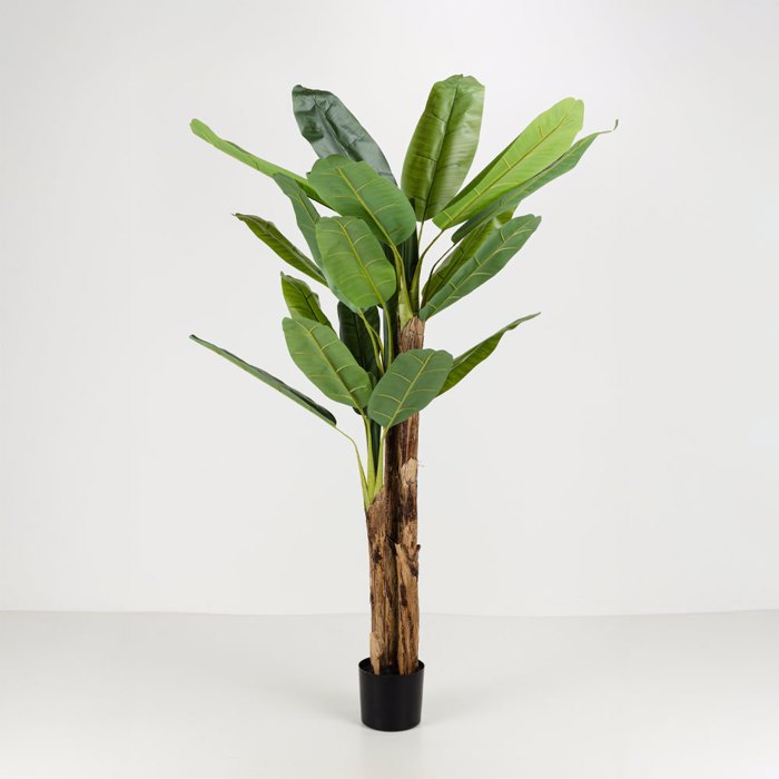 Liberta-Maison Banana Dentro Texnito se Gastra 200cm PVC Prasino Mavro Tsimento 030833