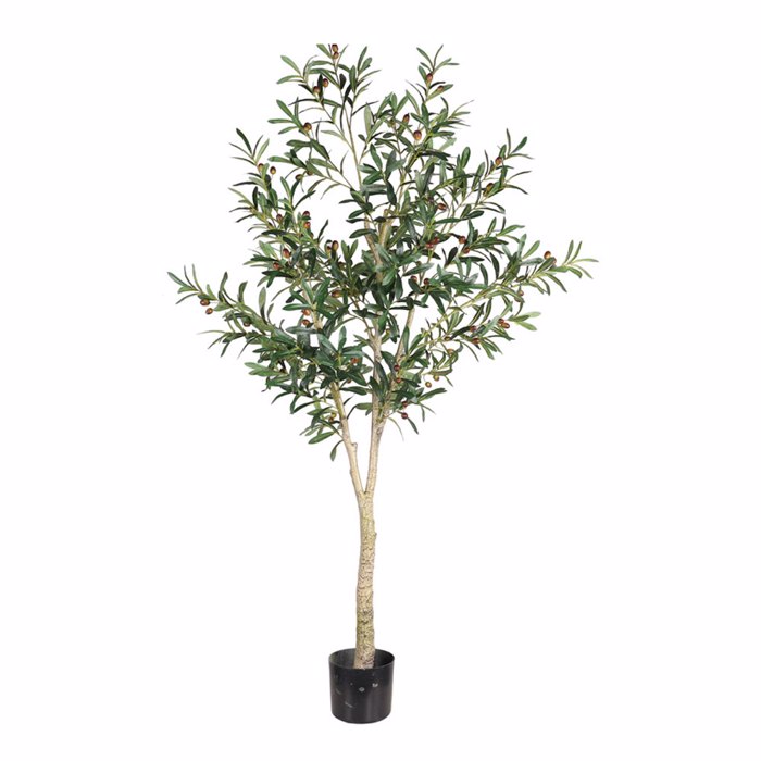 Liberta-Maison Olive Tree Dentro Texnito se Gastra 180cm PVC Prasino Mavro Tsimento 030851