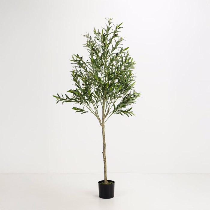 Liberta - Maison OLIVE TREE Dentro se Gastra ufasma Prasino PVC 180cm 031321