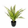 Liberta-Maison Rain Riga Futo Texnito Se Gastra 35cm ufasma Prasino PVC 031322