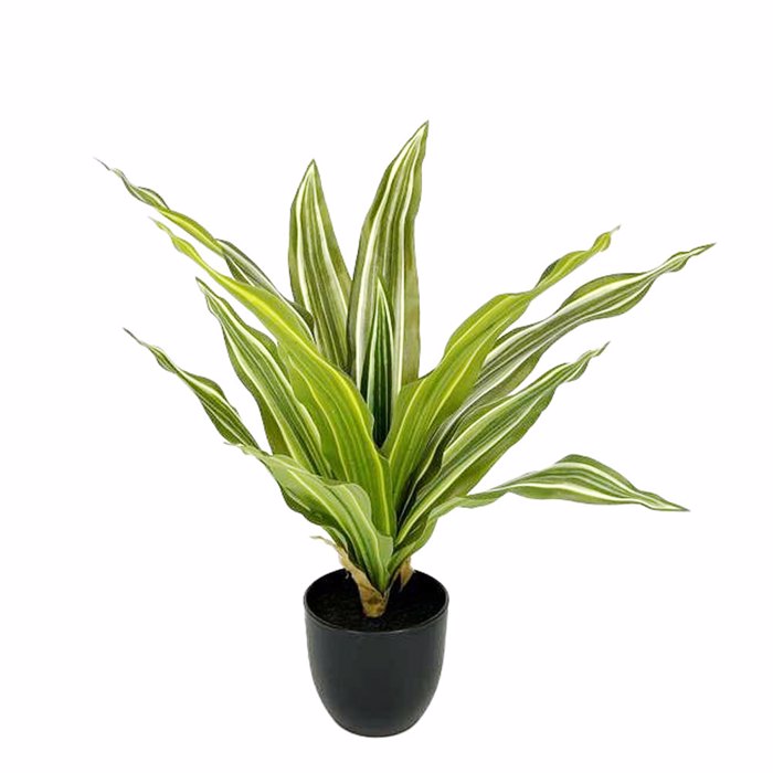 Liberta-Maison Rain Riga Futo Texnito Se Gastra 35cm ufasma Prasino PVC 031322