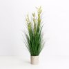 Liberta-Maison Oat Grass Futo Texnito Se Gastra 120cm PVC Prasino 031334