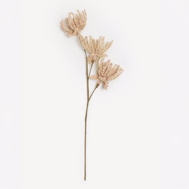 Liberta - Maison AROMA ESSENCE Τεχνητό Λουλούδι Foam Μπεζ PVC 70cm 031722