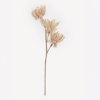 Liberta - Maison AROMA ESSENCE Texnito Louloudi Foam Bez PVC 70cm 031722