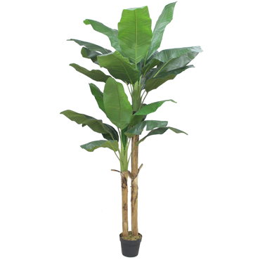 Liberta - Maison BANANA Δέντρο σε Γλάστρα PEVA Πράσινο 220cm 032202
