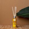Aromatiko Xorou me Sticks Mango 100ml 031299