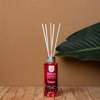 AROMATIKO XOROu ME STICKS AROMA KERASI 100ML 046934