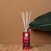 AROMATIKO XOROu ME STICKS AROMA KERASI 250ML 049102
