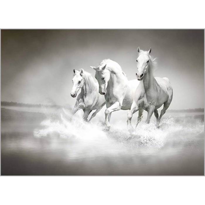 Roler me Psifiaki Ektuposi 'White Horses' A1306
