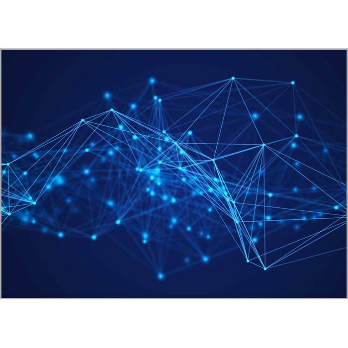 Roler me Psifiaki Ektuposi 'Network' A1316