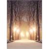 Roler me Psifiaki Ektuposi 'Winter Path' A1822