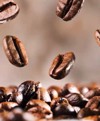 Roler me Psifiaki Ektuposi ''Coffee Beans'' E307