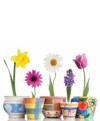 Roler me Psifiaki Ektuposi Poluxroma Louloudia ''Spring Mood'' E312