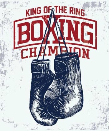Ρόλερ με Ψηφιακή Εκτύπωση Πόστερ 'Boxing Champion' E377
