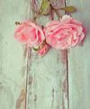 Roler me Psifiaki Ektuposi 'Vintage Flowers' E428