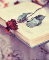 Roler me Psifiaki Vintage Ektuposi 'First Love' E439
