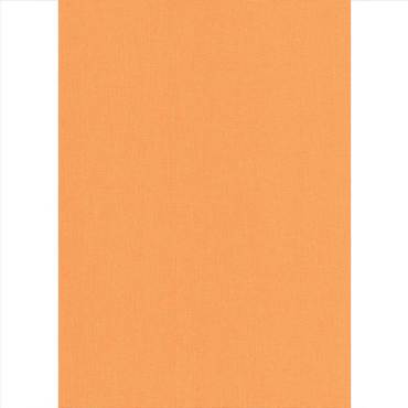 Elite Blinds Ρόλερ Μερικής Σκίασης Πορτοκαλί 'Carina' 7005-34