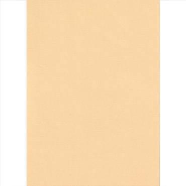 Elite Blinds Ρόλερ Μερικής Σκίασης Διάφανο 'Swed Plain' 7007-112