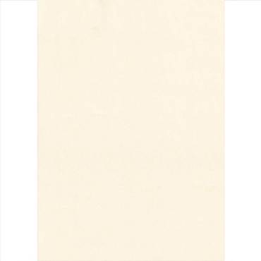 Elite Blinds Ρόλερ Μερικής Σκίασης Κρεμ 'Saphire' 7813-22