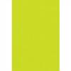 Ramino Roler Skiasis Premium Lime Green 70012-007