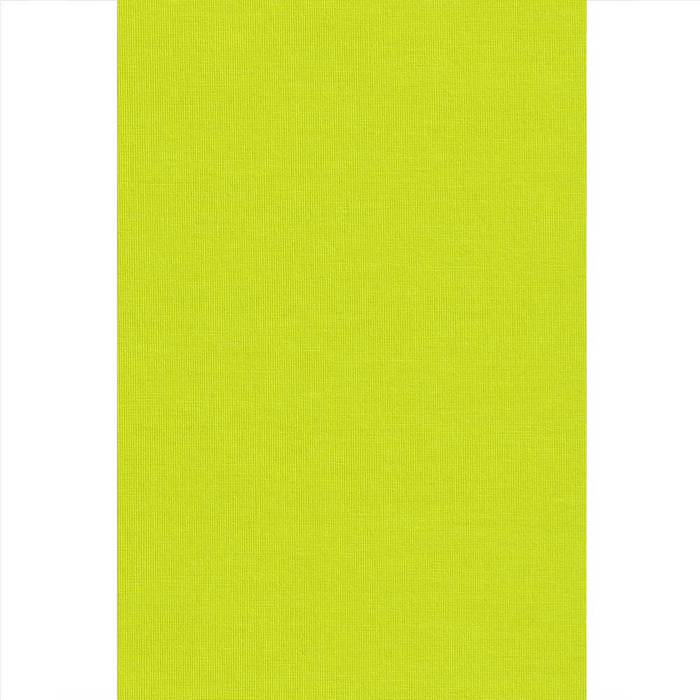 Ramino Roler Skiasis Premium Lime Green 70012-007