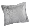 Guy Laroche Maxilaraki diakosmitiko PAVILON Silver 40X40