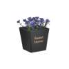 Click Futo se Gastraki Diafora Xromata Pl. 6-85-033-0003