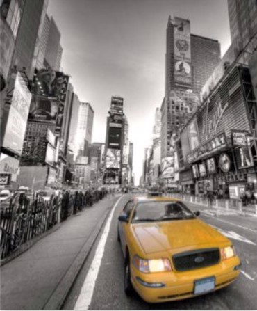 ΡΟΛΕΡ ΜΕ ΨΗΦΙΑΚΗ ΕΚΤΥΠΩΣΗ 'NEW YORK' E238