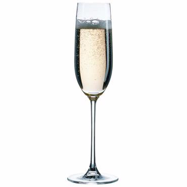 Σετ 6τμχ Nude Vintage Champagne NU66112-6 Espiel