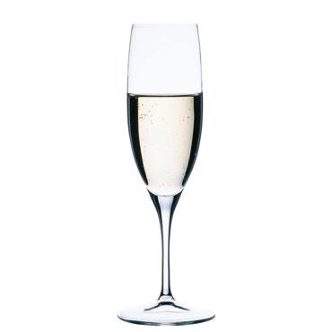 Σετ 6τμχ Nude Primeur Champagne NU67009-6 Espiel